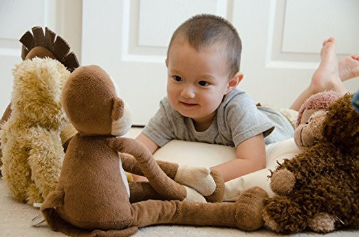 Organic Toddler Pillow (13" X 18")