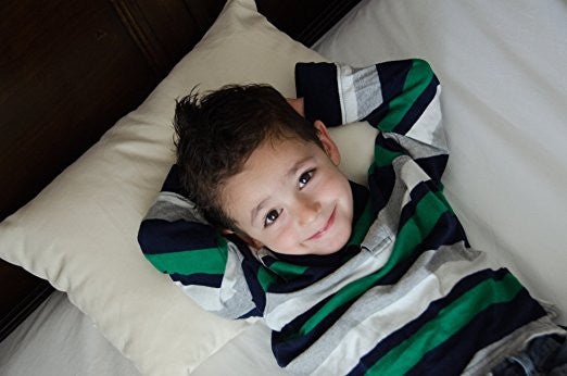 Organic Toddler Pillow (13" X 18")